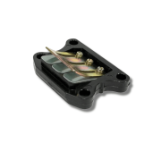 Пелюсткові клапани