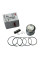 Поршень Дельта-70 STD d47 мм палець 13 мм WM motor