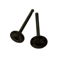 Клапаны GY6-125 BEN